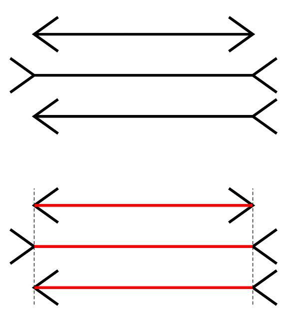 The Müller-Lyer Illusion 20