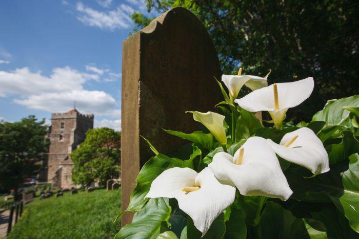 Graves Being 6 Feet Deep Came From The 1665 Plague Outbreak In England. The Mayor Of London Decided The Burial Depth To Be 6 Feet To Limit The Spread Of Disease.