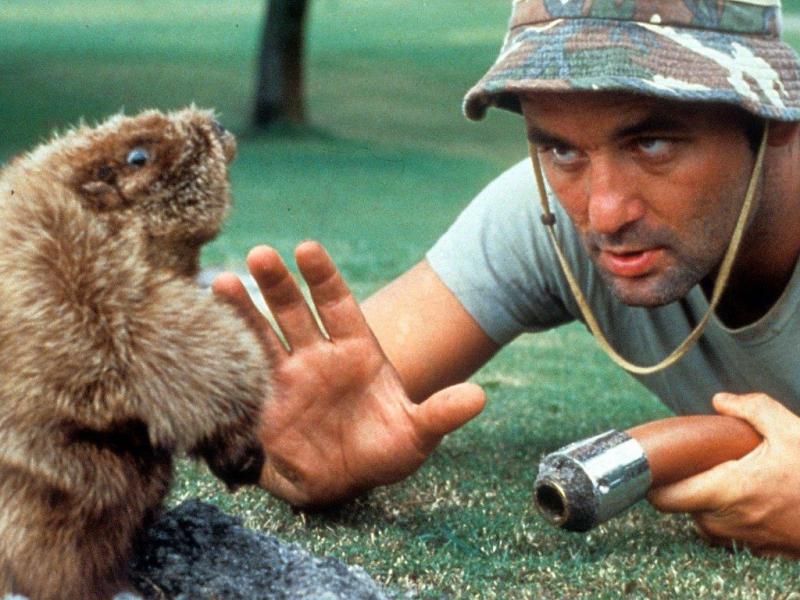 Caddyshack
		(1980)